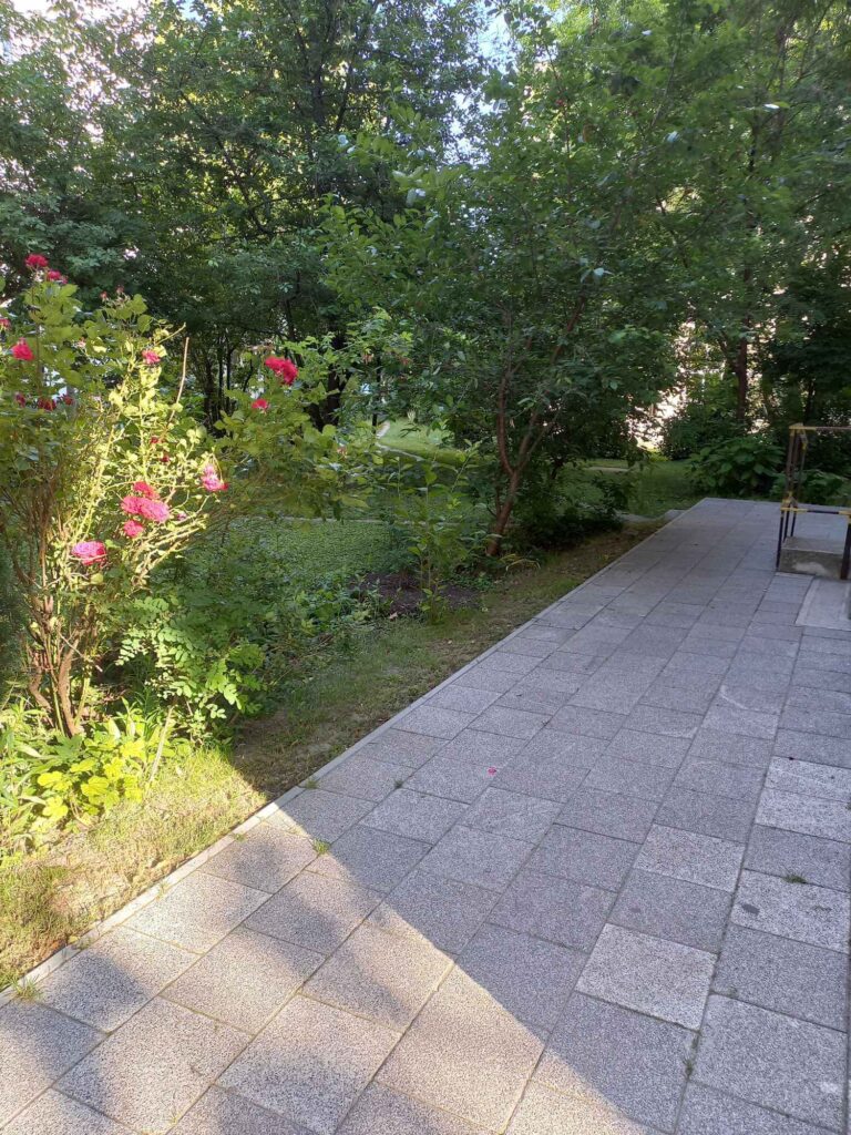 diosd_bartok_fobejarat