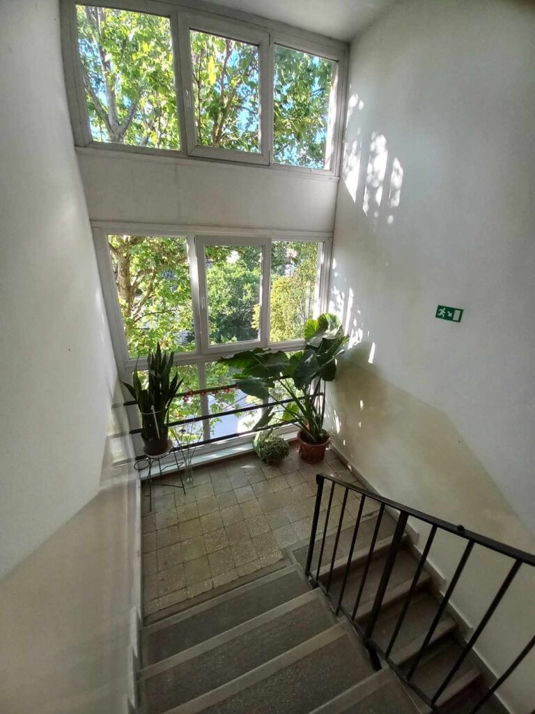 diosd_bartok_lepcsohaz2